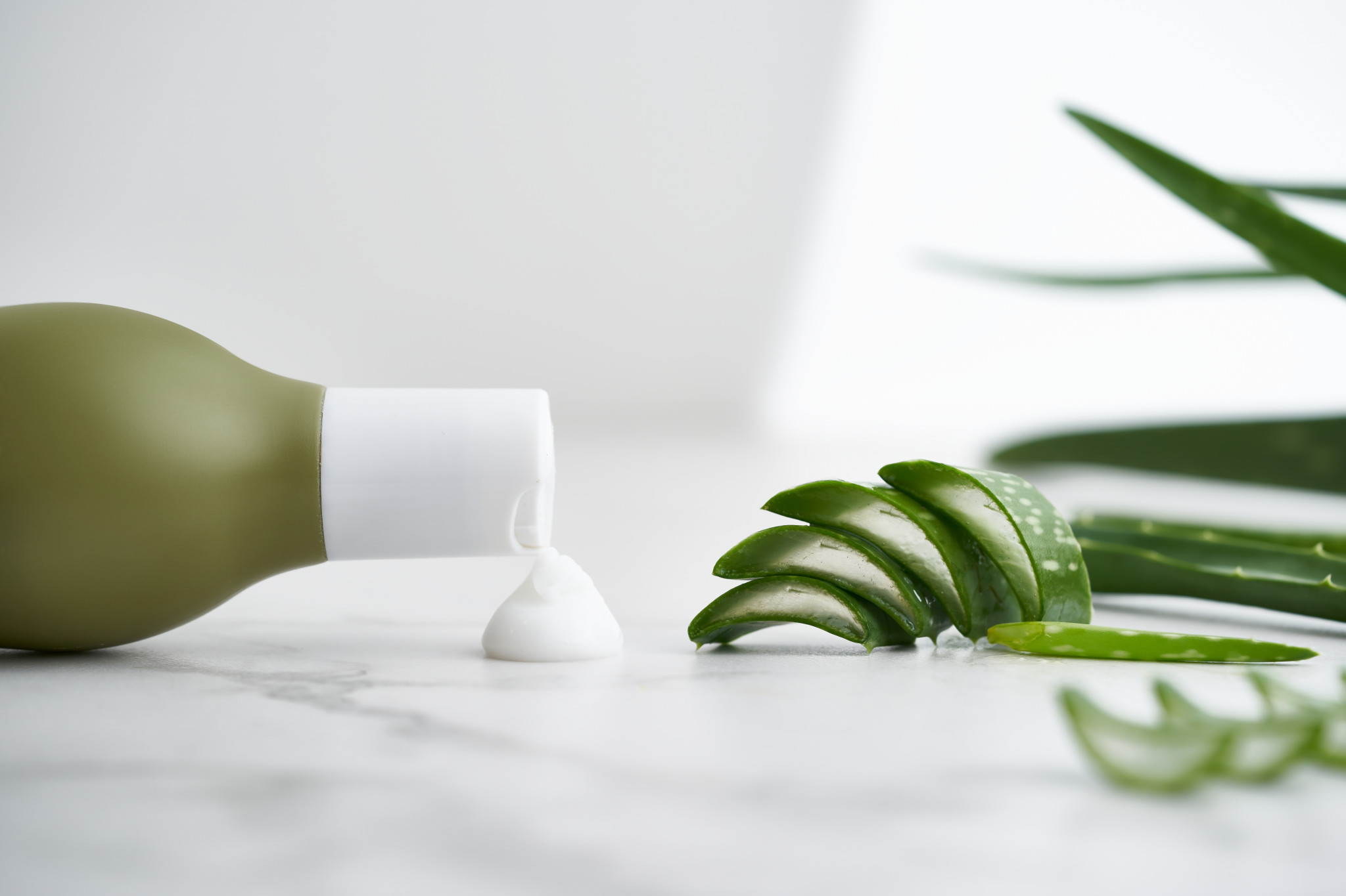 Aloe-vera-5-logi-na
