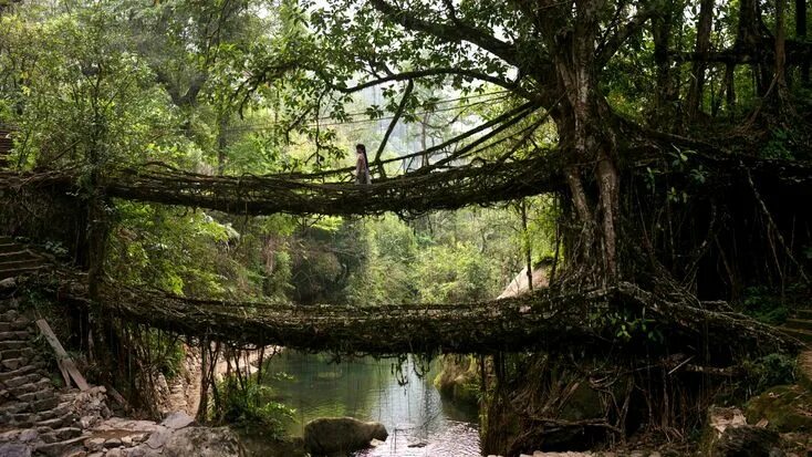 meghalaya