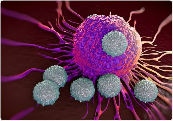 THE FUTURE OF CELL MEDIATED IMMUNE RESPONSE RESEARCH: TRENDS AND INNOVATIONS IN IMMUNOLOGY