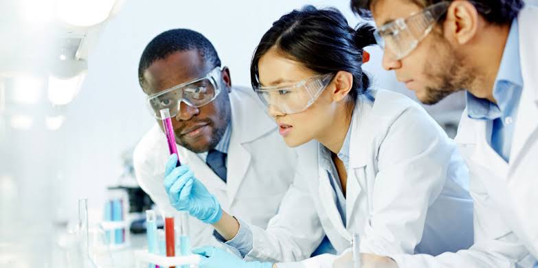 TOXICOGENOMIC AND MEDICINE