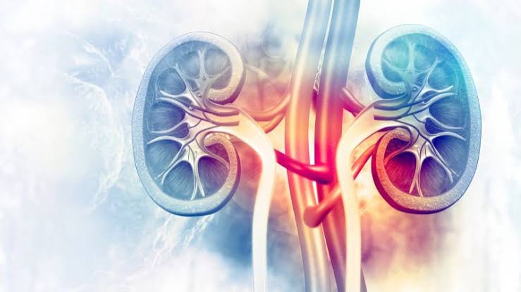 TUBULOINTERSTITIAL NEPHRITIS: URINARY TRACT INFECTION