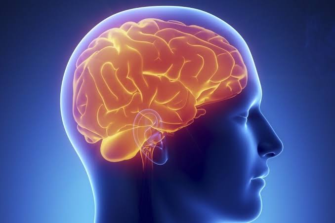 BRAIN NEEDS IN DIFFERENT METABOLIC STATES