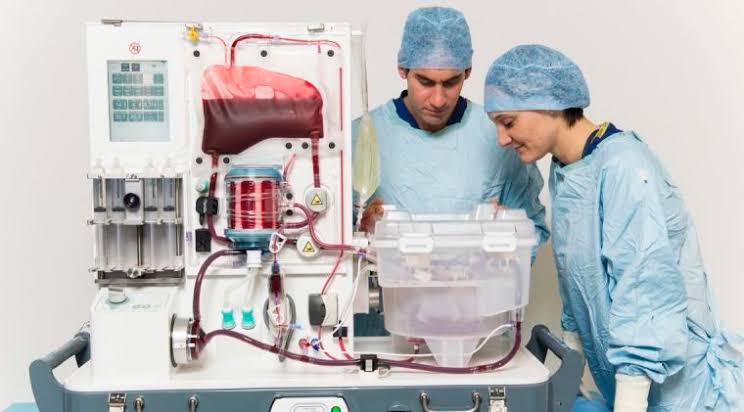 PRINCIPLES AND LIMITS OF ORGAN PRESERVATION TECHNIQUES
