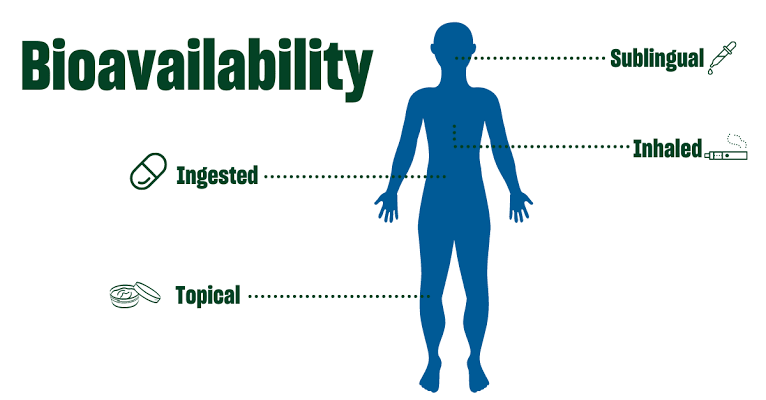 BIOAVAILABILITY: UNDERSTANDING THE JOURNEY OF A SUBSTANCE IN THE BODY