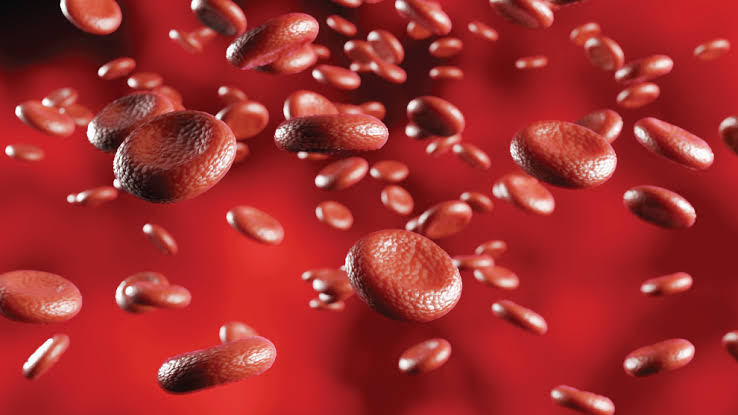 PATHOGENESIS OF HAEMOGLOBINOPATHIES: KEY INSIGHTS AND BREAKTHROUGHS