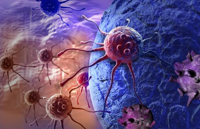 THE MOLECULAR PATHWAYS AND GENETIC MUTATIONS UNDERLYING CANCER DEVELOPMENT