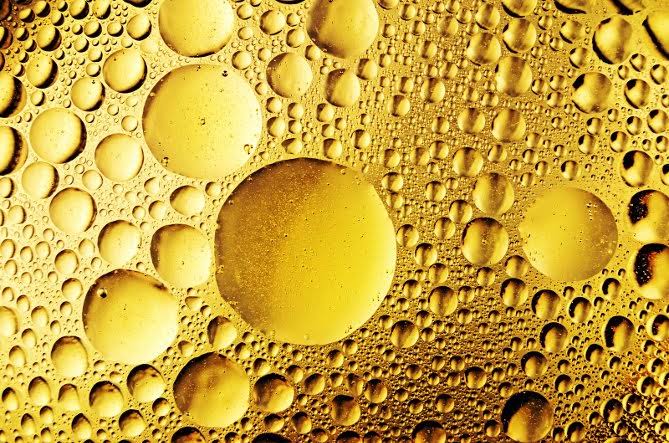 LIPIDS: THE KEY TO YOUR BODY’S ENERGY NEEDS
