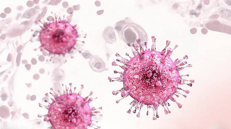 OPPORTUNISTIC INFECTIONS COMMON IN TRANSPLANT RECIPIENTS