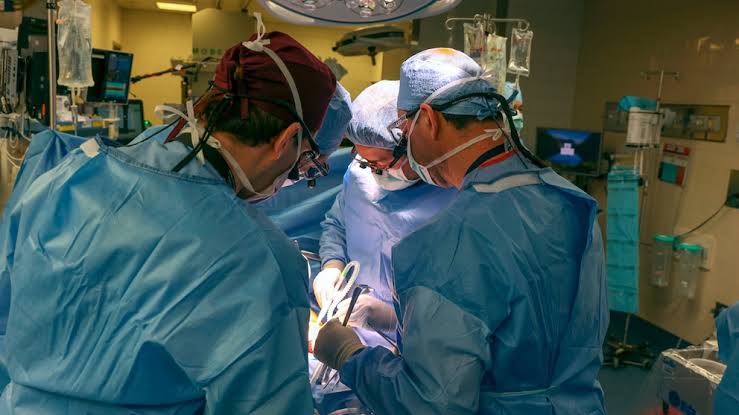 PERFORMING KIDNEY TRANSPLANTS: KEY TECHNIQUES AND TIPS