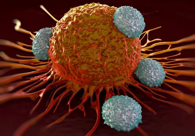 MALIGNANT TRANSFORMATION AND TUMOR VIRUSES: CRUCIAL INSIGHTS FOR CANCER RESEARCH