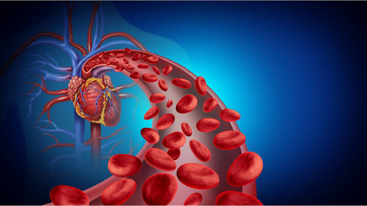 BLOOD FLOW TO THE TISSUES