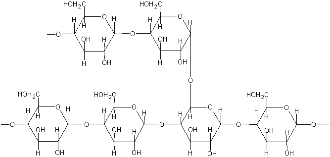 HETEROPOLYSACCHARIDES: CLASSIFICATION, FUNCTIONS, AND BIOCHEMICAL SIGNIFICANCE IN EXTRACELLULAR MATRIX FORMATION