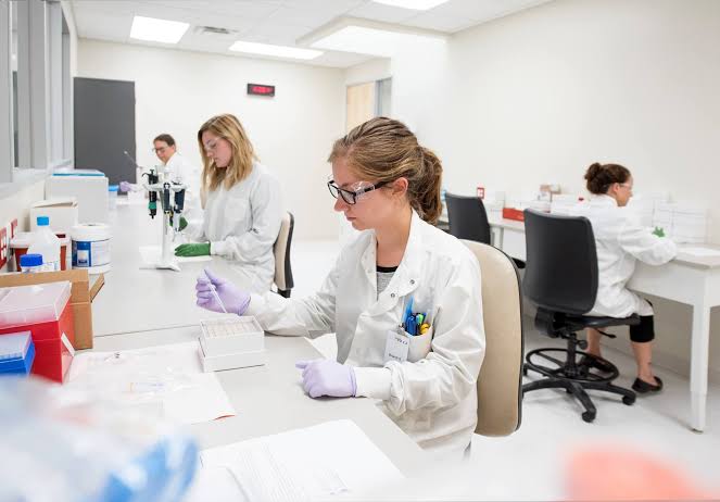 THE ESSENTIAL ROLE OF MICROBES IN PRODUCING VITAMINS AND AMINO ACIDS