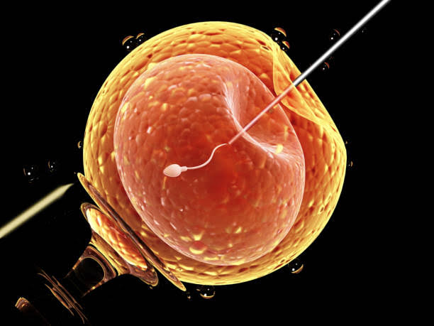MANAGING INFERTILITY: EXPERT ADVICE FOR HOPEFUL PARENTS