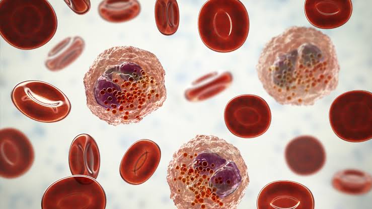 CHRONIC INFLAMMATION
