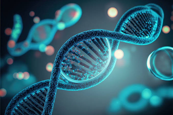 HUMAN GENETIC ARCHITECTURE