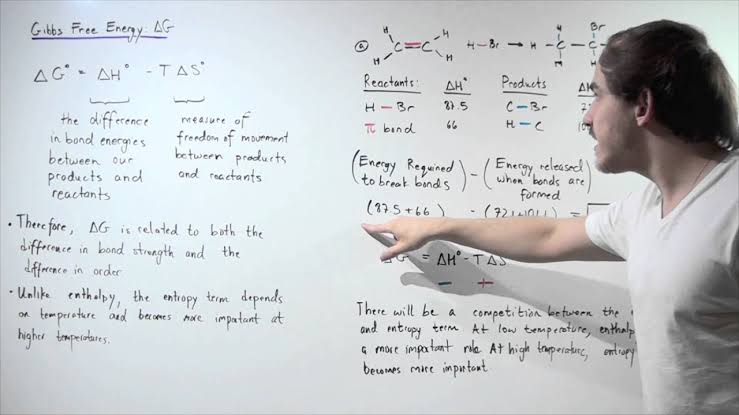 BIOENERGETICS AND THERMODYNAMICS