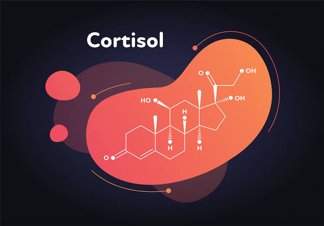 PHYSIOLOGICAL IMPACT OF GLUCOCORTICOIDS