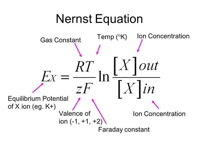 THE SCIENCE BEHIND NERNST POTENTIAL