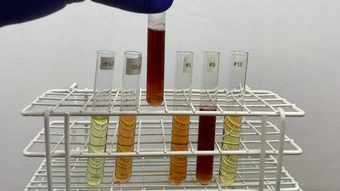 DETECTING CARBOHYDRATES: A STEP‑BY‑STEP GUIDE TO SELIVANOFF’S, BARFOED’S, AND OSAZONE TESTS
