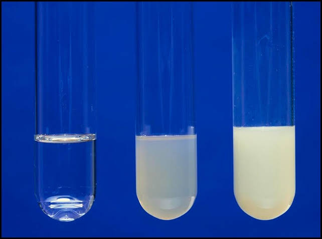 ELUCIDATING PROTEIN DETECTION: A COMPREHENSIVE GUIDE TO PRECIPITATION TESTS