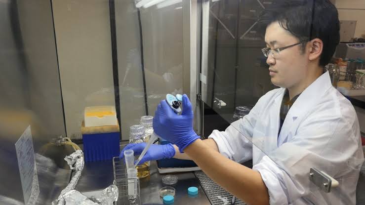 HOW TO EXTRACT PURE PLASMID DNA FROM E. COLI CELLS