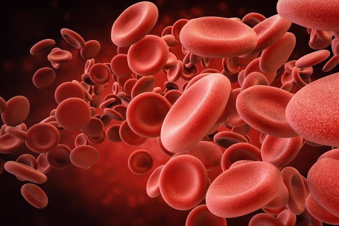RED BLOOD CELLS: CHARACTERISTICS AND FUNCTIONS