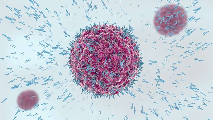 BASIC IMMUNOLOGY EXPLAINED: THE ROLE OF ADAPTIVE IMMUNITY