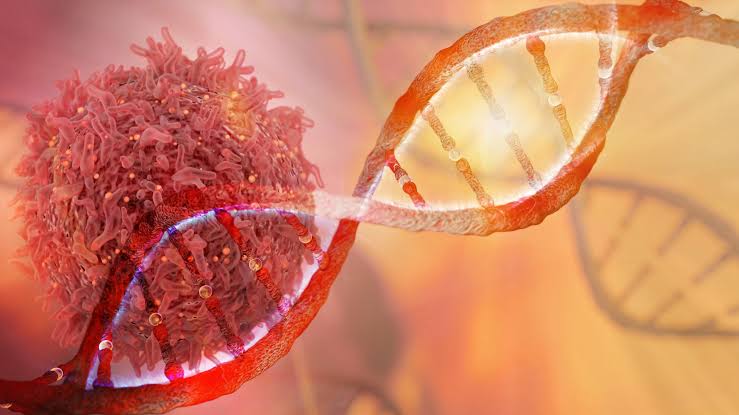 EXPLORING RADIATION BIOLOGY: FUNDAMENTAL PRINCIPLES AND PRACTICES