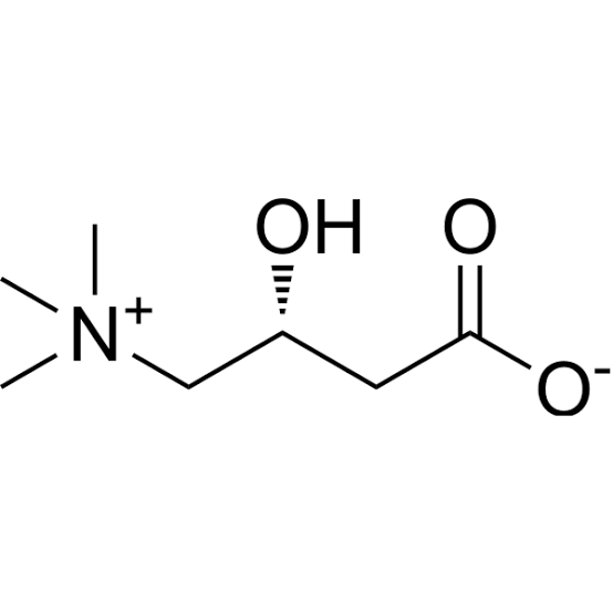 THE ROLE OF FATTY ACID OXIDATION IN METABOLISM