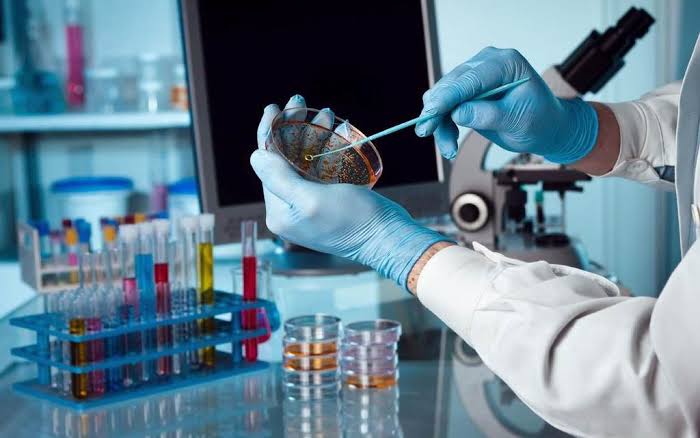 TOP TECHNIQUES FOR MEASURING MICROBIAL GROWTH: A SCIENTIFIC APPROACH