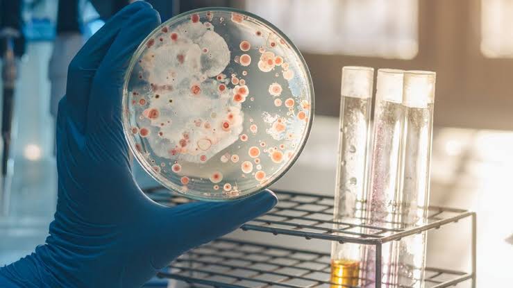 THE CRUCIAL ROLE OF NITROGEN IN MICROBIAL GROWTH AND DEVELOPMENT