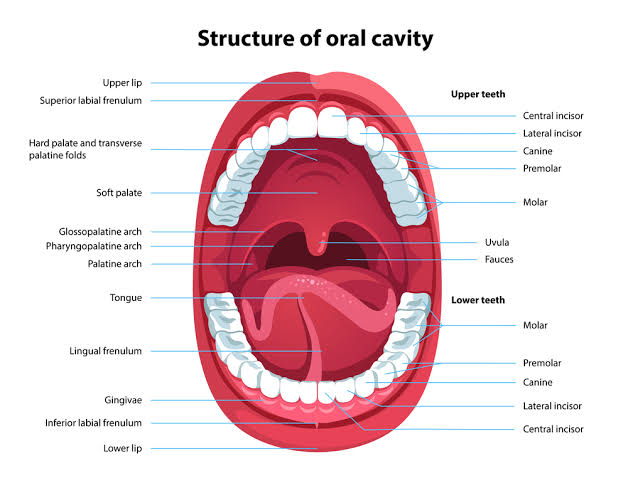PATHOLOGY OF ORAL CAVITY