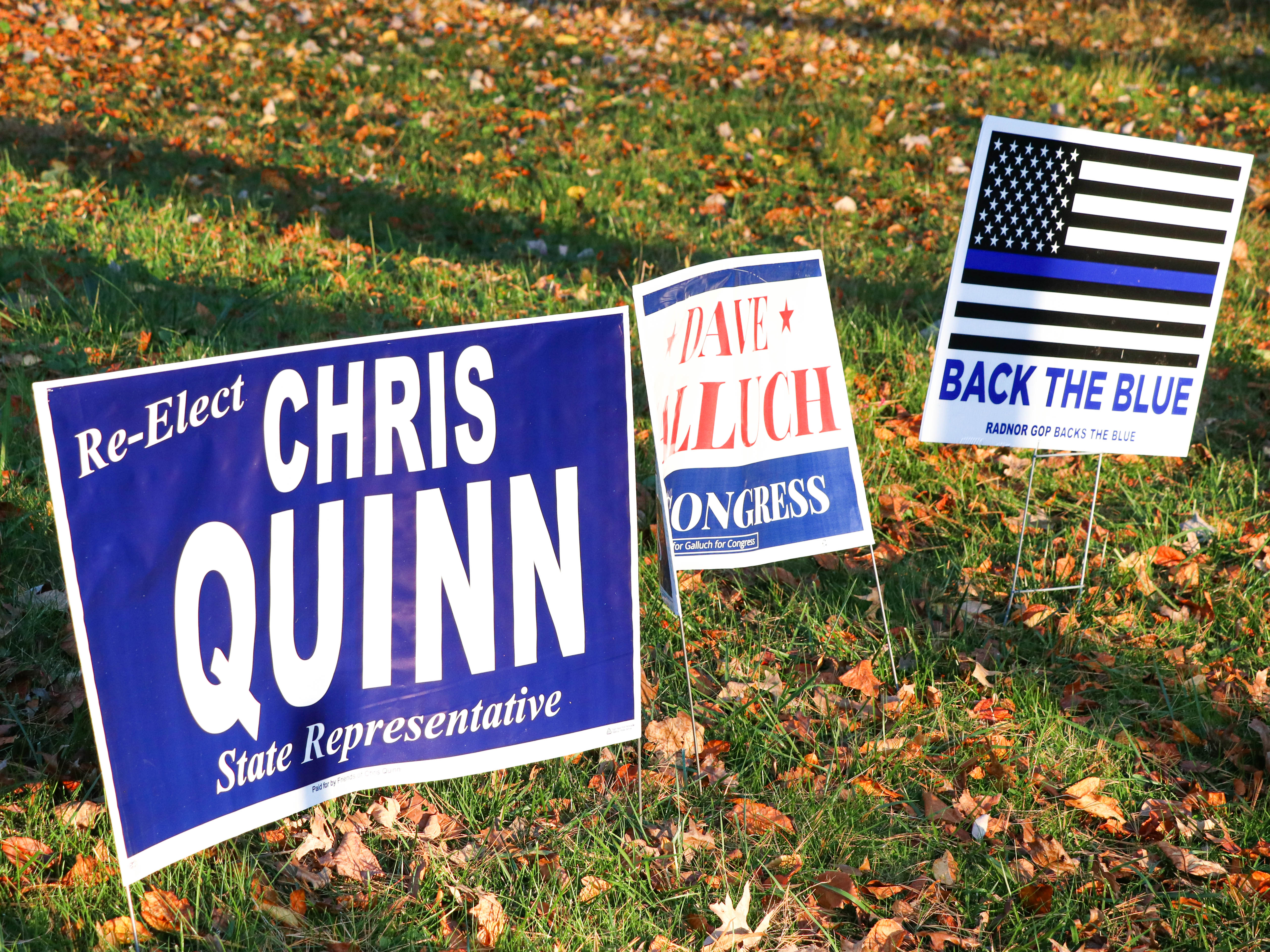 Three small campaign signs lined up in a row, facing the right among the fall leaves. The first sign in blue says "Re-Elect Chris Quinn: State Representative". The second sign is illegible, and the last sign says "Back The Blue." 