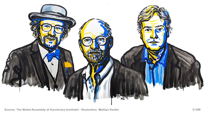 2017 Nobel Prize for Medicine-Michael Rosbash, Jeffrey C Hall and Michael W Young-QzzBzz