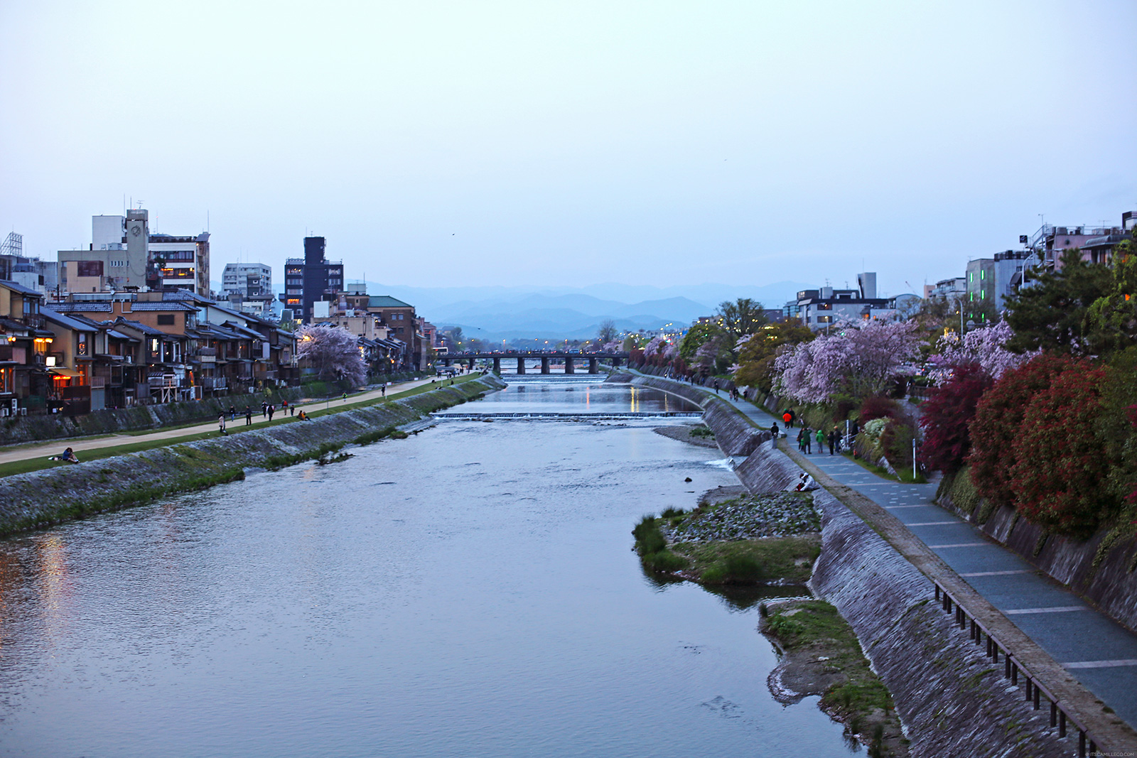 Kyoto Travel Diary: Shirakawa River, Gion, - www.itscamilleco.com