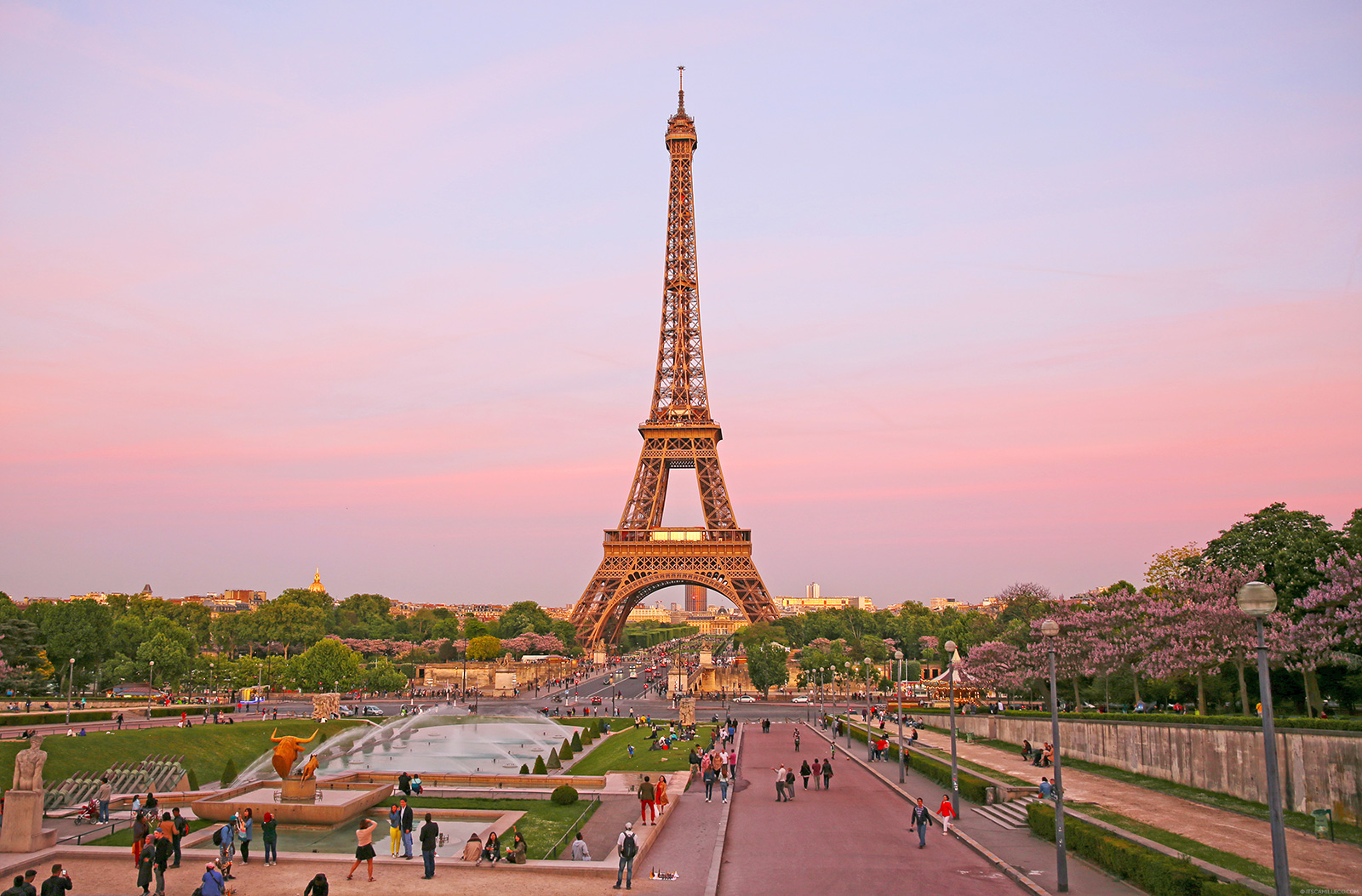 Eiffel Tower, Paris - www.itscamilleco.com