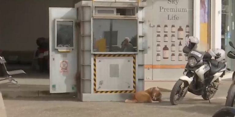 Ά&gamma;&iota;&omicron;&iota; &Alpha;&nu;ά&rho;&gamma;&upsilon;&rho;&omicron;&iota;: &Epsilon;&Delta;&Epsilon; &delta;&iota;&alpha;&tau;ά&chi;&theta;&eta;&kappa;&epsilon; &gamma;&iota;&alpha; &tau;&eta; &gamma;&upsilon;&nu;&alpha;&iota;&kappa;&omicron;&kappa;&tau;&omicron;&nu;ί&alpha; &tau;&eta;&sigmaf; 28&chi;&rho;&omicron;&nu;&eta;&sigmaf; έ&xi;&omega; &alpha;&pi;ό &tau;&omicron; &Alpha;&Tau;