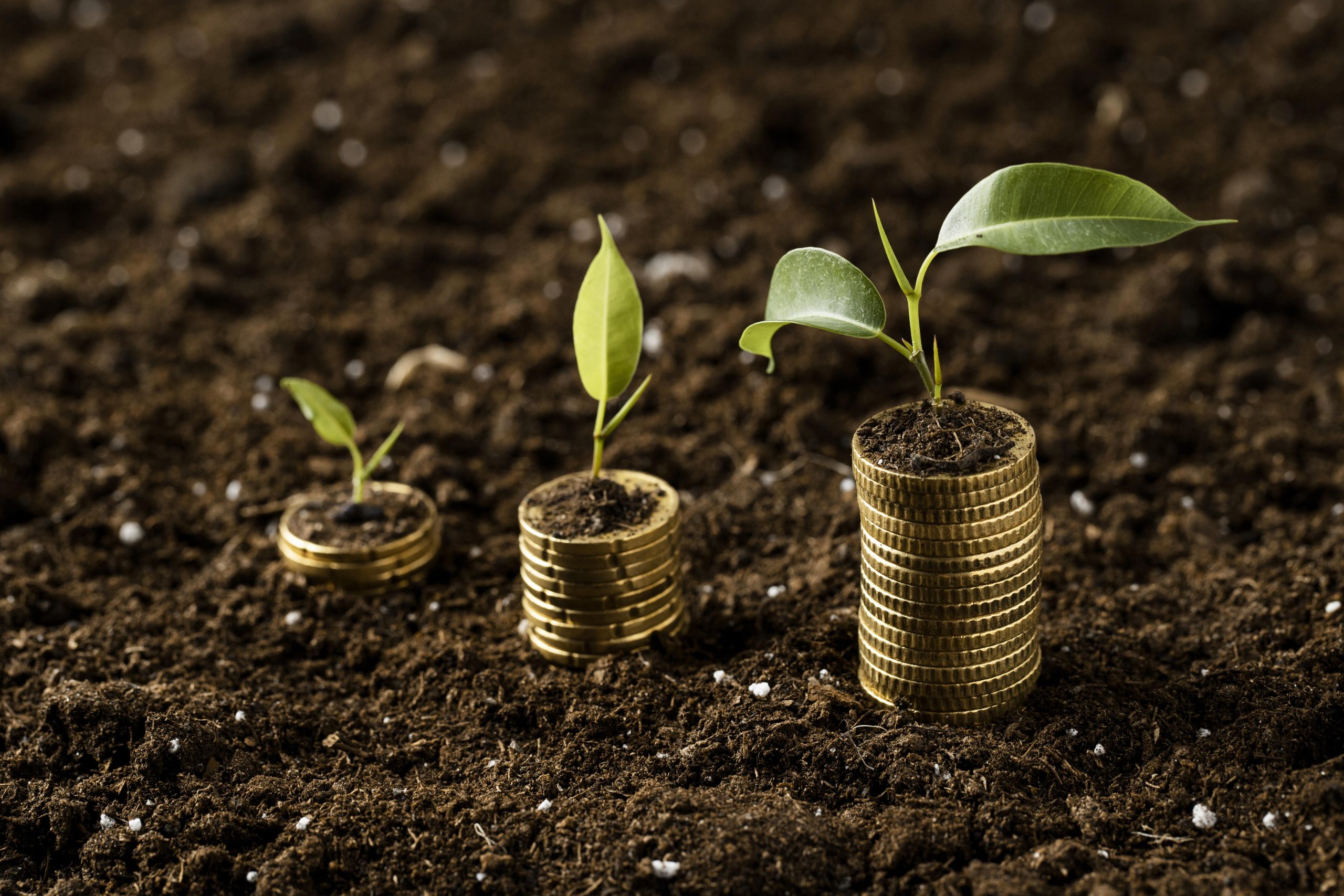 Exploring Alternative Investments Opportunities Beyond Stocks And 
