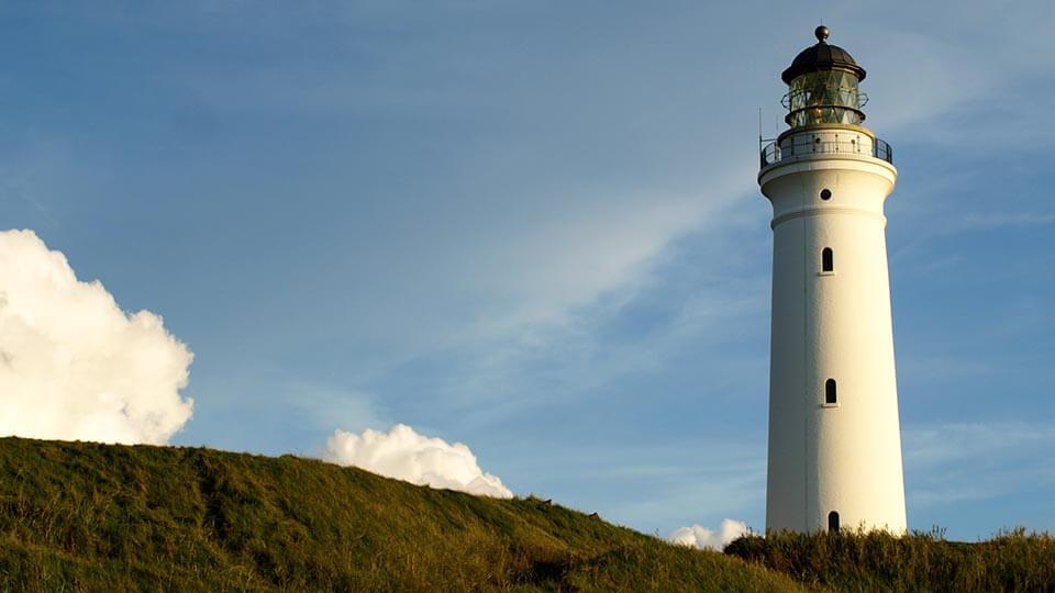 About Natulique - NATULIQUE Background