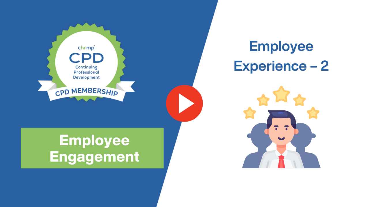 Employee Experience-2