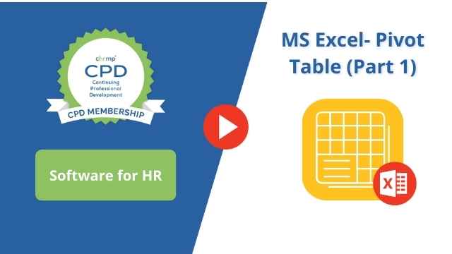 MS Excel Pivot Table 1