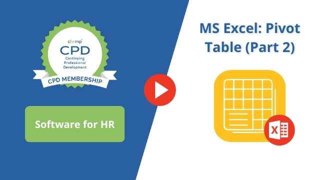 MS Excel Pivot Table 2