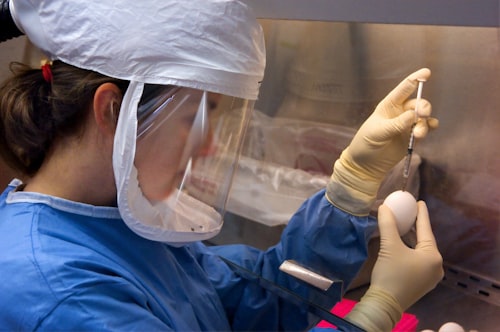 EFFECTS OF IMMUNE SUPPRESSION ON RENAL FUNCTION