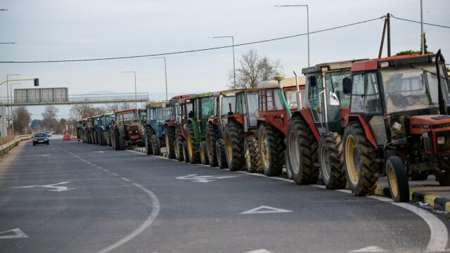 agrotes__14_ agrotes__14_