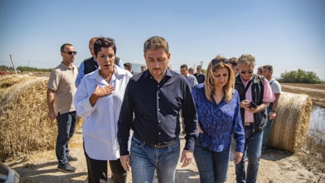 androulakis-768x513-1-640x360-1 androulakis-768x513-1-640x360-1