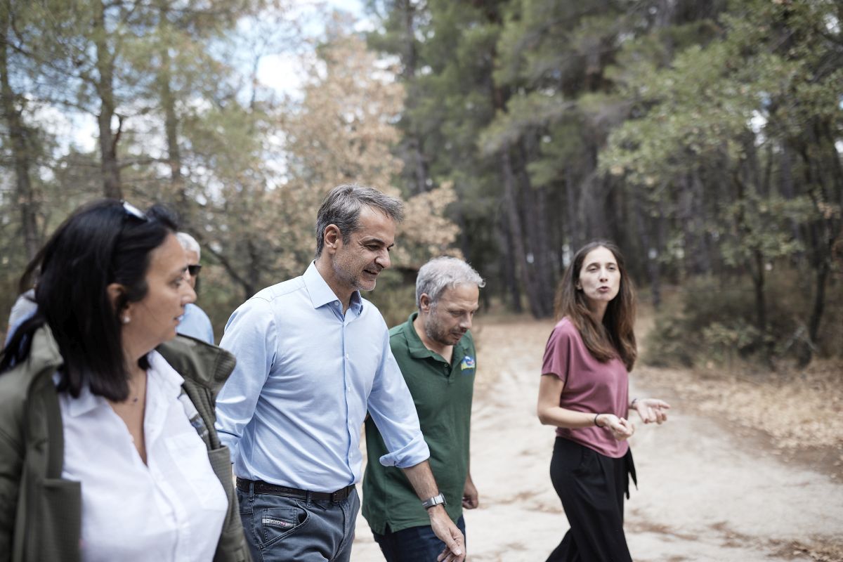 dadia_mitsotakis dadia_mitsotakis