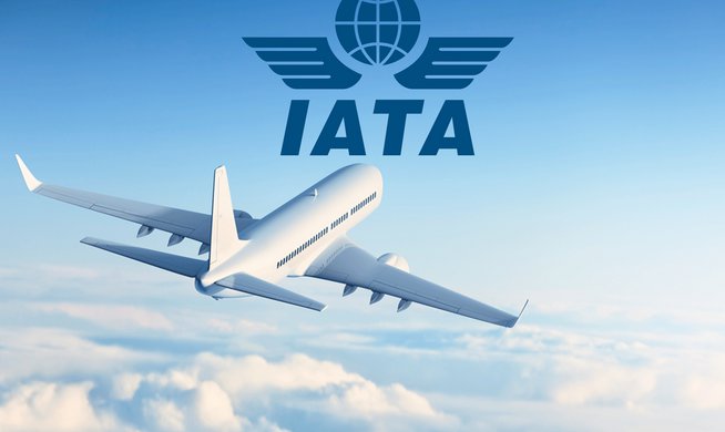 iata-africa-airline-association_252863_158020_type12140