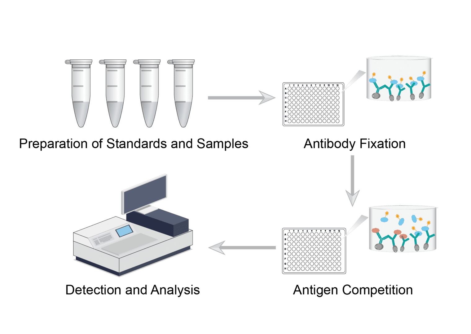 BIOCHEMICAL PRINCIPLES BEHIND HORMONE LABORATORY TESTS