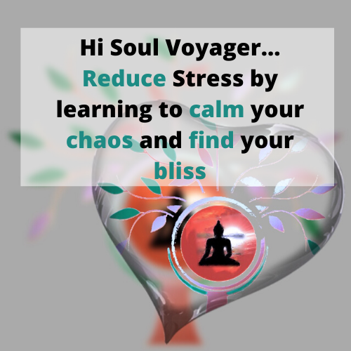Meditations in motion with Sylvia Lane